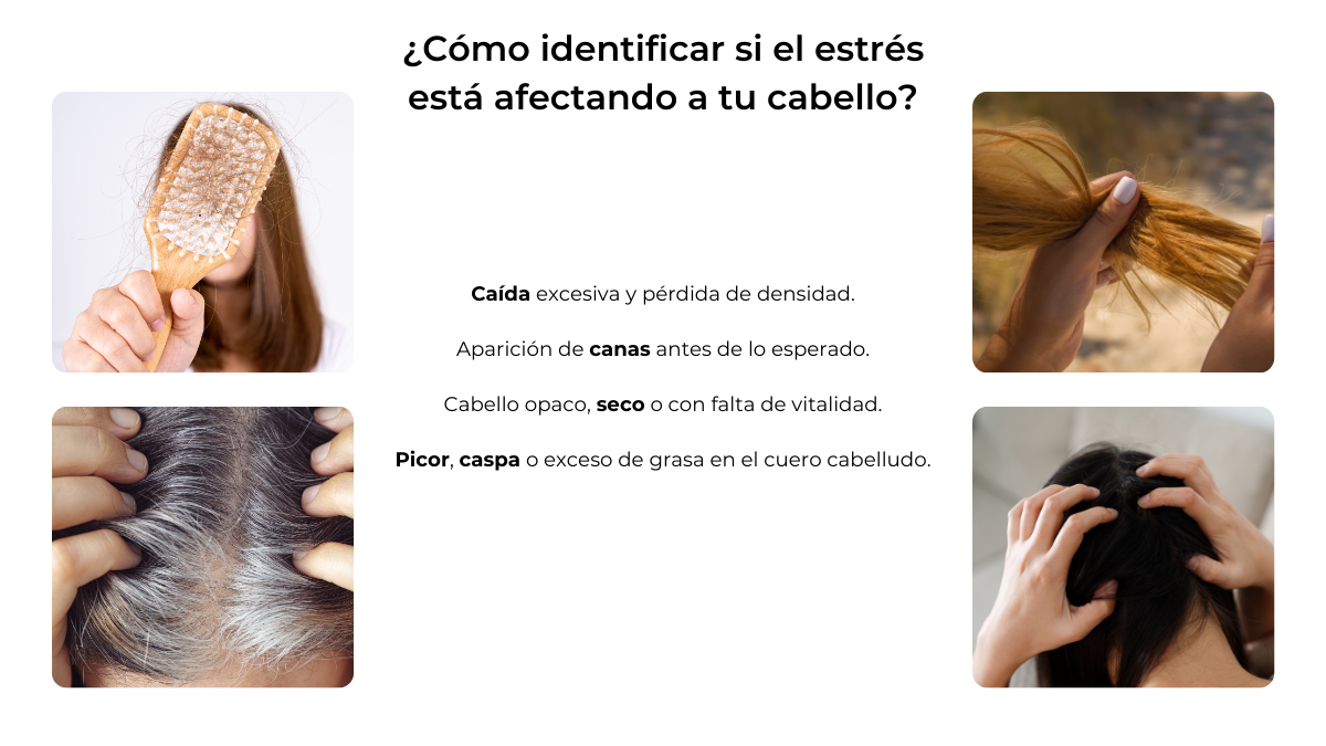 identifica si el estrés afecta a tu caída del cabello